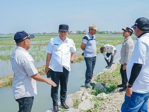 Swasembada Pangan Jadi Alasan di Balik Gratisnya Pajak Sawah di Karawang