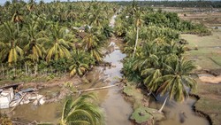 Siapa Pemilik Toba Pulp yang Diminta Prabowo Diperiksa Terkait Banjir?
