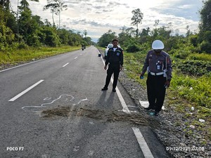 Remaja Mabuk di Mimika Jatuh dari Motor Tewas Terlindas Avanza