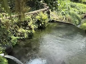 Petung Natural Water, Surga Pemandian Bening Tersembunyi di Karangasem