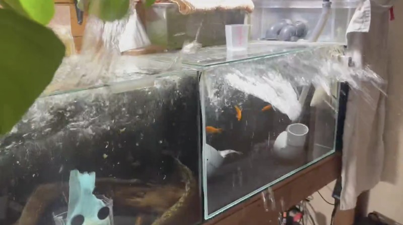 Rak buku dan dokumen yang jatuh saat gempa bumi terlihat di biro Hakodate Kyodo News di Hakodate, Hokkaido, Jepang, 8 Desember 2025 dalam foto yang diambil oleh Kyodo. (Mandatory credit Kyodo/via REUTERS)