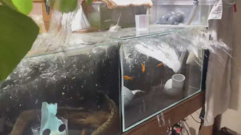 Rak buku dan dokumen yang jatuh saat gempa bumi terlihat di biro Hakodate Kyodo News di Hakodate, Hokkaido, Jepang, 8 Desember 2025 dalam foto yang diambil oleh Kyodo. (Mandatory credit Kyodo/via REUTERS)