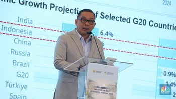 KEK Jadi Daya Tarik Investasi RI, WamenInvestasi Beberkan Buktinya