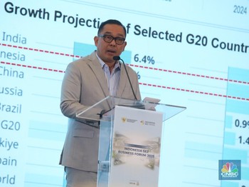 KEK Jadi Daya Tarik Investasi RI, WamenInvestasi Beberkan Buktinya