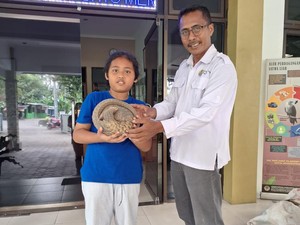 Serahkan Trenggiling Temuan ke BKSDA Jogja, Ini Alasan Mulia Bocah Sleman