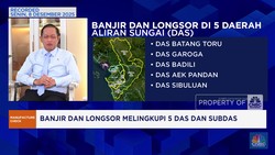 Video: Menteri LH Ungkap Hasil Audit Sebab Banjir Bandang Sumatra