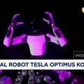 Video: Viral Robot Tesla Optimus Kolaps