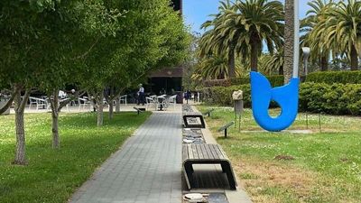 Hati-Hati! Foto-Foto Ini Kelihatan Normal, tapi Ternyata Menipu Mata