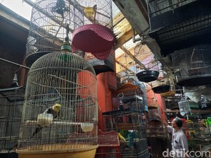 Pasar Burung Bratang: Dulu Jadi Terbesar, Kini Tinggal Segelintir Pedagang