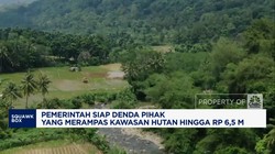 Video: Pemerintah Siapkan Denda Rp1,25-6,5 M untuk Perampas Hutan