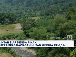 Video: Pemerintah Siapkan Denda Rp1,25-6,5 M untuk Perampas Hutan