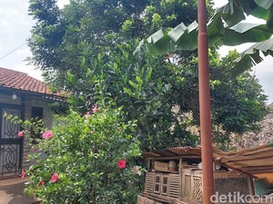 Derita Warga Serpong yang Rumahnya Nyaris Terkubur Sampah: Sesak Nafas-Gatal!