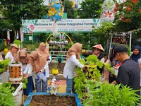 Jasmine Integrated Farming Binaan WEGE Tembus ProKlim Utama 2025