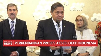 Video: Menko Airlangga Ungkap Perkembangan Aksesi RI Jadi Anggota OECD