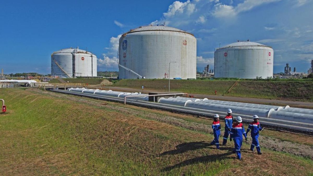 Papua dalam Arah Baru Swasembada Energi Nasional yang Berkeadilan