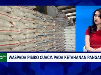 Video: Stok Beras Aman Tapi Waspada Harga Cabai Rawit Naik di Nataru
