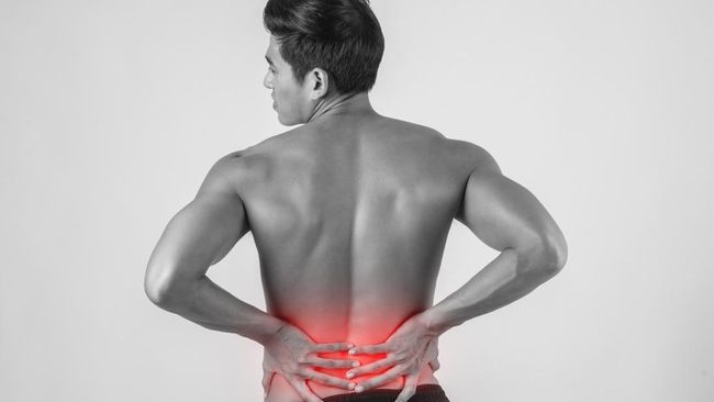 8 Tanaman Herbal Ampuh Redakan Sakit Pinggang