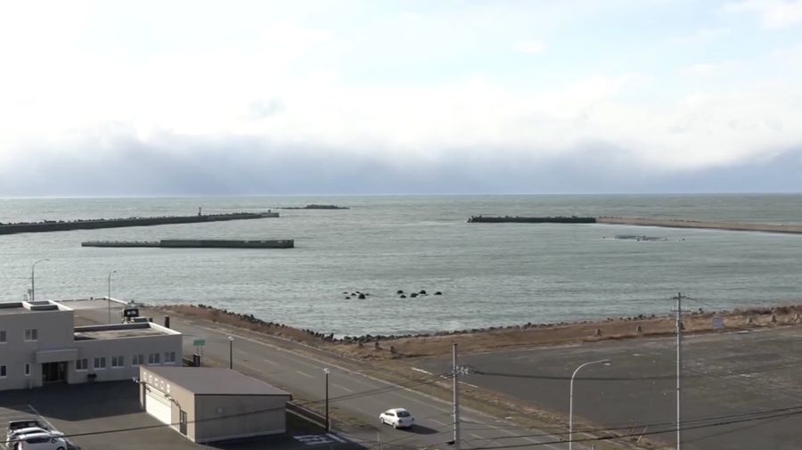 Jepang mencabut peringatan tsunami beberapa jam setelah gempa bumi mengguncang wilayah timur laut negara itu pada Jumat (12/12/2025). (Tangkapan Layar Video Reuters NIPPON TV/JAPAN)