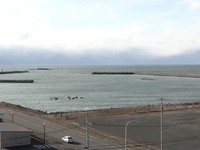 Jepang mencabut peringatan tsunami beberapa jam setelah gempa bumi mengguncang wilayah timur laut negara itu pada Jumat (12/12/2025). (Tangkapan Layar Video Reuters NIPPON TV/JAPAN)