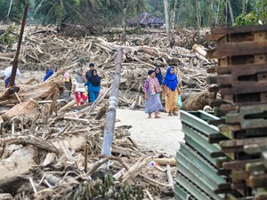 BPBD Update Korban Banjir-Longsor di Sumut: 355 Tewas dan 84 Hilang