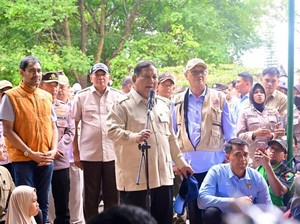 Prabowo Tegaskan Akan Tertibkan Pembalakan Liar!