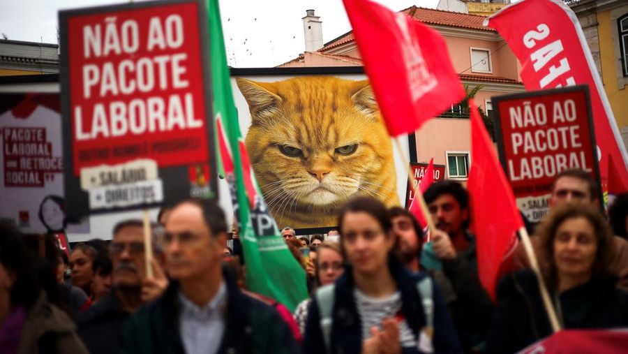 Sebuah poster promosi bergambar kucing terlihat selama demonstrasi pada hari ketika dua serikat pekerja utama, CGTP dan UGT, menyerukan pemogokan umum sebagai protes terhadap rencana pemerintah untuk mereformasi undang-undang ketenagakerjaan, di Lisbon, Portugal, 11 Desember 2025. (REUTERS/Pedro Nunes)