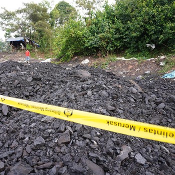 Penampakan 1.430 Ton 'Gunung Batu Bara' Ilegal Disita Gakkum ESDM