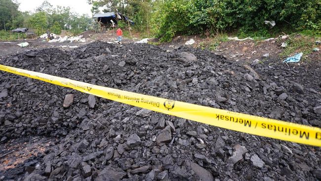 Penampakan 1.430 Ton 'Gunung Batu Bara' Ilegal Disita Gakkum ESDM