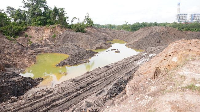 Izin 5 Perusahaan Tambang Dunia Ini Dicabut Karena Isu Lingkungan