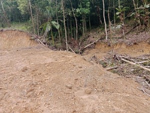 Dugaan Pelanggaran Berat KSU Jaya Abadi di Balik Hutan Lindung Gowa Dibabat