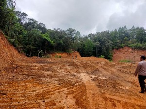 Izin KSU Jaya Abadi Terancam Dicabut Imbas Hutan Lindung Dibabat di Gowa
