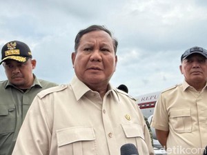 Janji Prabowo Tertibkan Pembalakan Liar