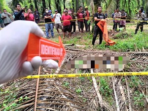Hilang Sepekan, Jasad Siswa SMK Lampung Ditemukan Membusuk di Kebun Sawit