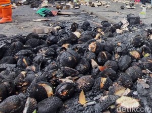 Pedagang di Kalibata Ikhlas Durian Gosong Sisa Ricuh Matel Disantap Warga
