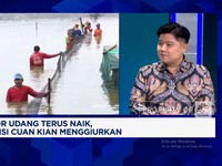Video: Ekspor Terus Naik, RI Dorong Pengusaha Muda Masuk Bisnis Udang