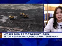 Video: RI Kejar Setoran Bea Keluar Batu Bara, Pengusaha Tertekan?