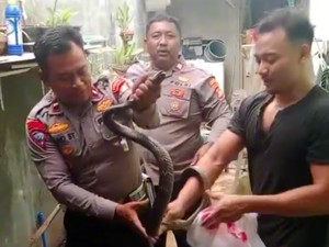 Warga Bekasi Ngadu Ular Masuk Rumah ke 110, Polisi Turun Tangan