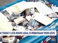 Video: Bea Cukai Tindak 11 Juta Rokok Ilegal di Perbatasan Timor Leste