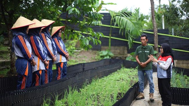 PGE Ulubelu Perkuat Pangan dan Pemberdayaan Perempuan Lewat Cara Ini