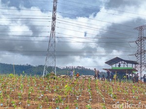 TNI Bangun Pos Pantau Antisipasi Perusakan Kebun Teh Pangalengan