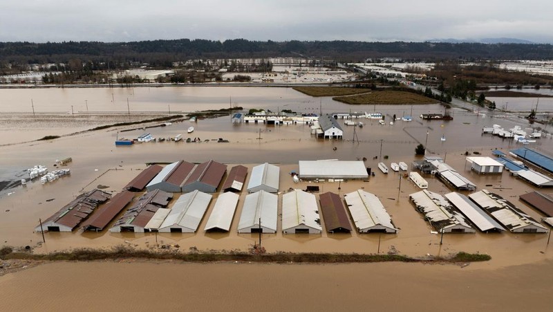 Sebuah tayangan drone menunjukkan area yang tergenang banjir akibat luapan Sungai Green, setelah beberapa aliran atmosfer membawa hujan dan banjir ke wilayah Pasifik Barat Laut, di Kent, Washington, AS, 15 Desember 2025. (REUTERS/David Ryder)