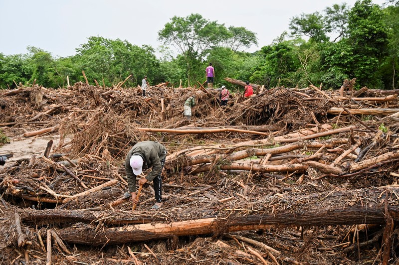 Anggota komunitas dari berbagai desa mencari orang hilang di antara puing-puing kayu setelah banjir yang dipicu oleh luapan sungai di wilayah Santa Cruz timur mengisolasi beberapa komunitas, di El Torno, Bolivia, 16 Desember 2025. (REUTERS/Claudia Morales)