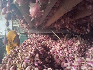 Petani Bawang Sambat Bombai Mini Rusak Harga Pasaran, Kementan Bilang Begini