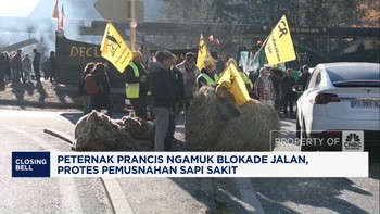 Peternak Prancis Ngamuk Blokade Jalan, Protes Pemusnahan Sapi Sakit