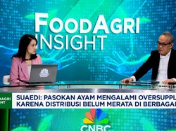 Video: Pengusaha Pakan Harap MBG Bisa Tambah Konsumsi Ayam 2 Kg/kapita