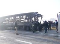 Penampakan Kecelakaan Maut Tabrakan Beruntun di Tol, 13 Orang Tewas