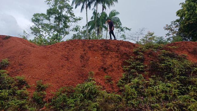 Pemerintah Lelang 'Harta Karun' Ratusan Miliar, Ini Penampakannya
