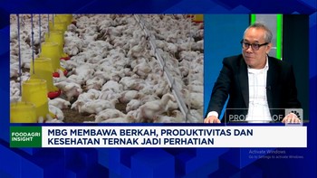 Video: Produksi Melimpah Tapi Konsumsi Ayam RI Kalah Dari Malaysia Cs