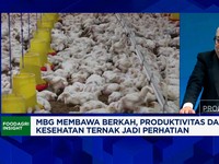 Video: Produksi Melimpah Tapi Konsumsi Ayam RI Kalah Dari Malaysia Cs