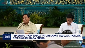 Video: Prabowo Ingin Papua Tanam Sawit, Tebu-Singkong Demi Swasembada